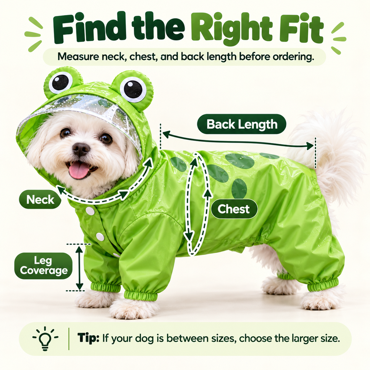 Frog Dog Raincoat – Full-Body Coverage for Happier Rainy Walks 🐸