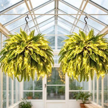 Glowing Boston Ferns with Lights – 🌿 Zero Watering, Zero Maintenance