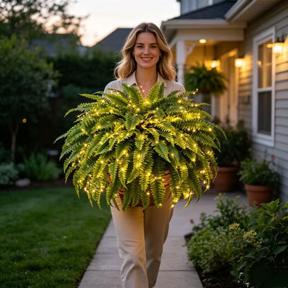 Glowing Boston Ferns with Lights – 🌿 Zero Watering, Zero Maintenance