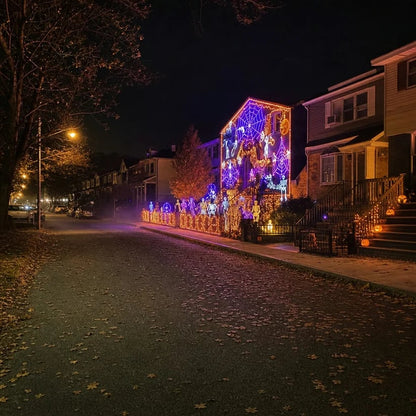 🎇✨Christmas LED House Net & Smart Outdoor Wall Curtain Light