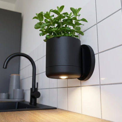 No-Wire Wall Sconce & Planter | Leafies🪴
