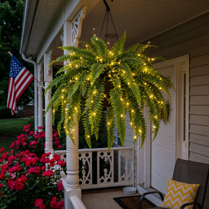 Glowing Boston Ferns with Lights – 🌿 Zero Watering, Zero Maintenance