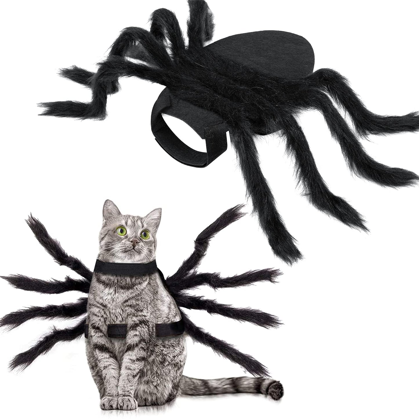 Halloween Spider Cat Costume
