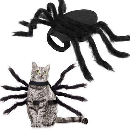 Halloween Spider Cat Costume