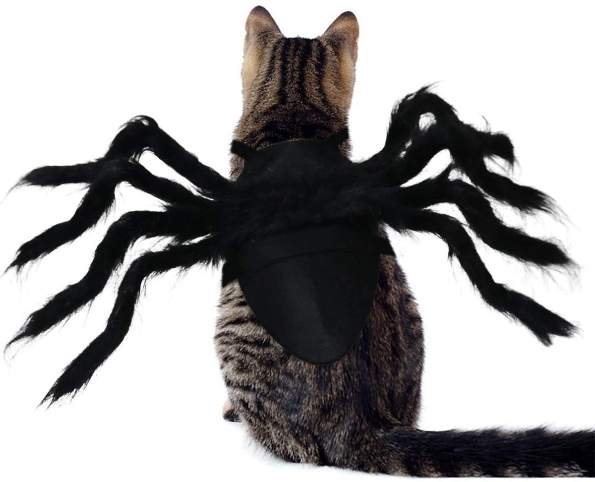 Halloween Spider Cat Costume