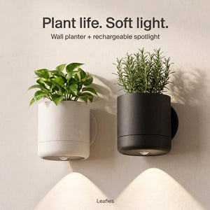 No-Wire Wall Sconce & Planter | Leafies🪴