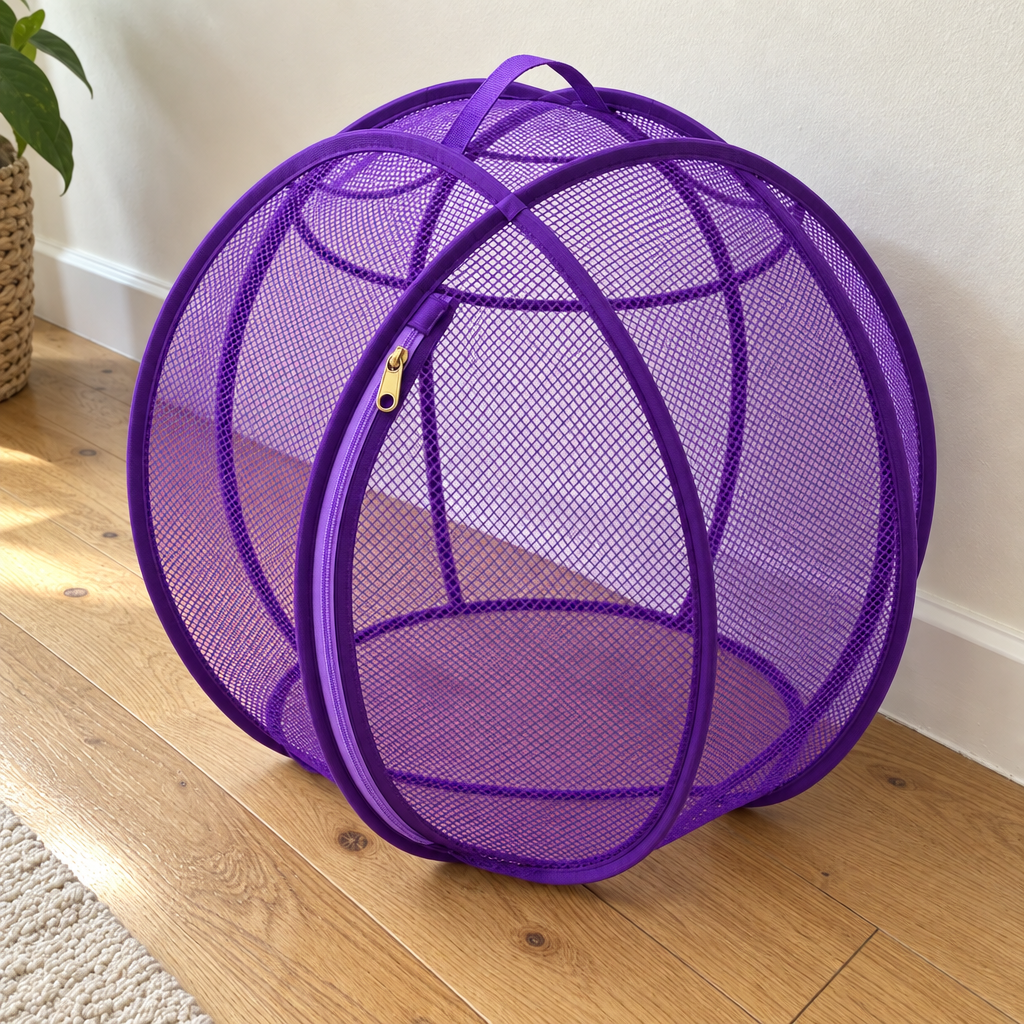 Kitty Cruise Adventure Pod